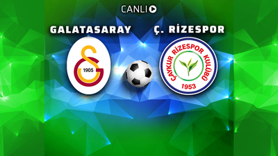 Aslan kendini yaktı!