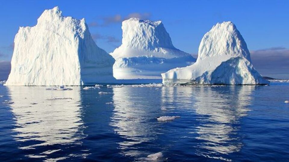 Buzulda hayat keşfedildi!