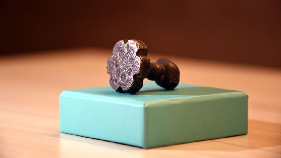 Çiftçi tarlasında çalışırken bulmuştu... Tanıtıldı