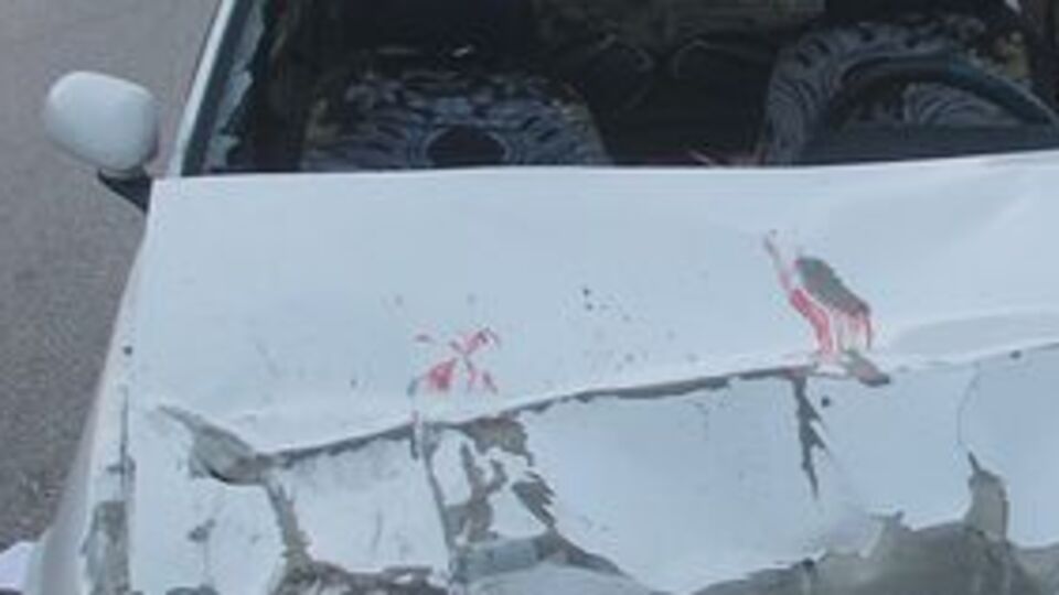 Otomobil TIR'a çarptı