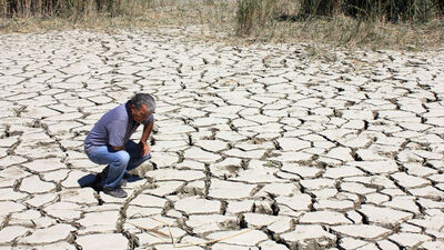 40 yıl sonra korkutan tespit!