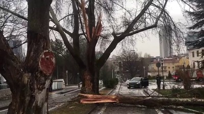 TBMM bahçesinde ağaca yıldırım düştü!