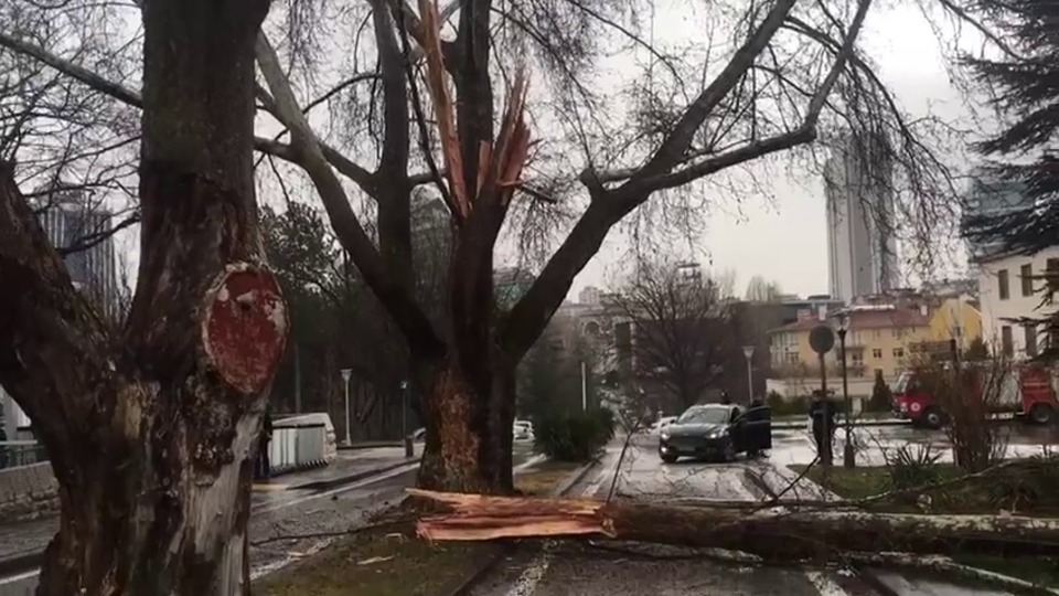 TBMM bahçesinde ağaca yıldırım düştü!