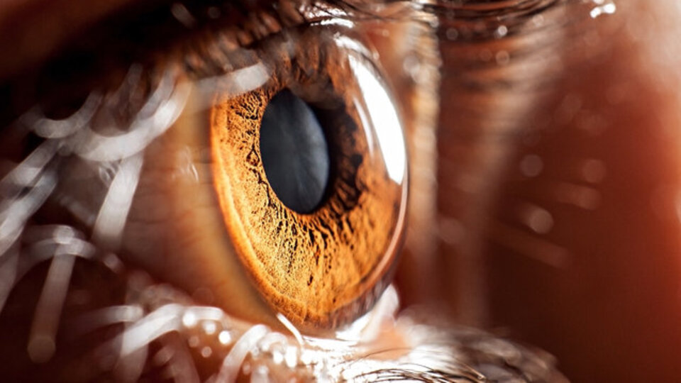 Dikkat! Gözünüzde titreme varsa...