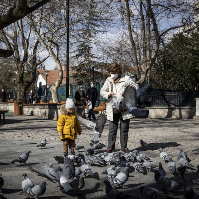 Yüksek riskli iller hangileridir?