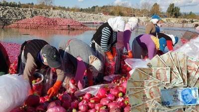 Gizemli hayırsever yine göründü!