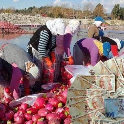 Gizemli hayırsever yine göründü!