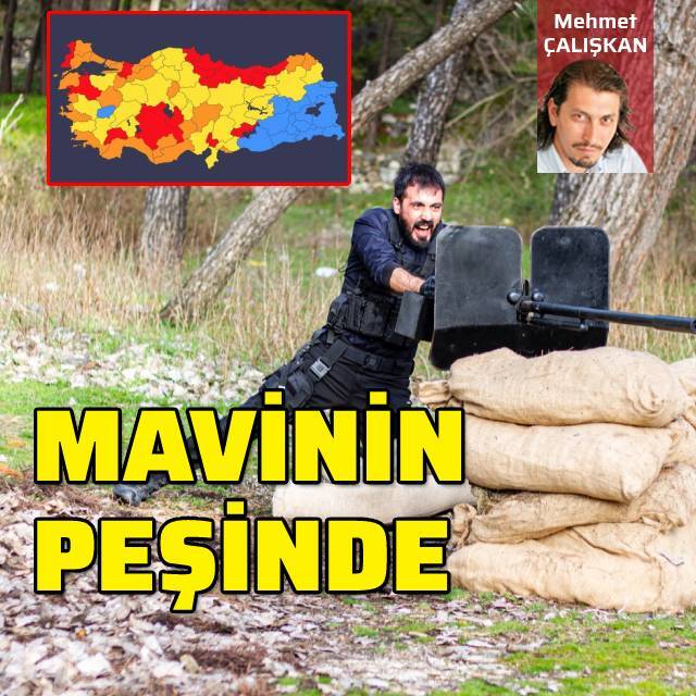 Mavinin peşinde