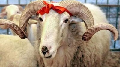 Kurban Bayramı ne zaman 2021?