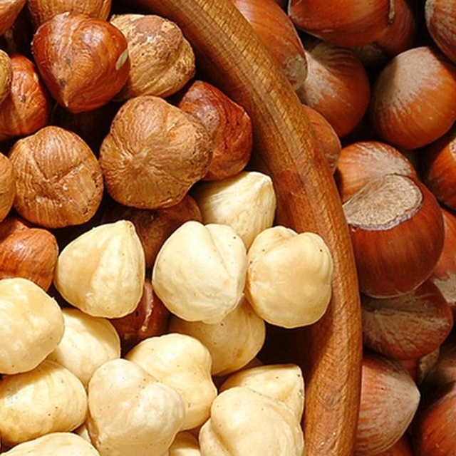 İl il fındık fiyatları listesi