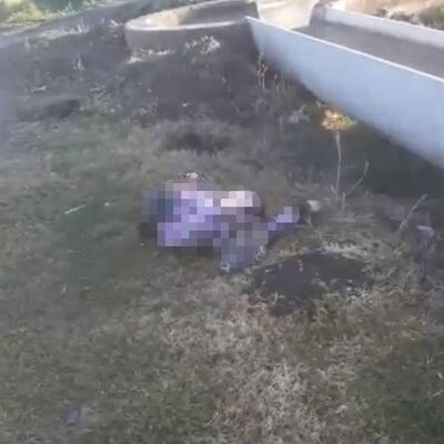 Hamile ablasını katletti!