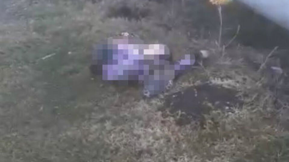 Hamile ablasını katletti!