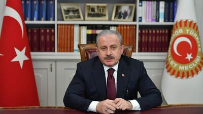 Başkan Şentop'tan Luran Ahmeti için taziye mesajı