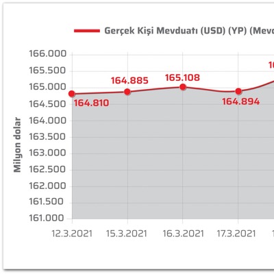 Vatandaş 4.6 milyar dolar sattı