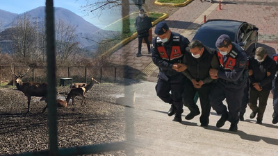 Hayvanat bahçesindeki dehşete para cezası