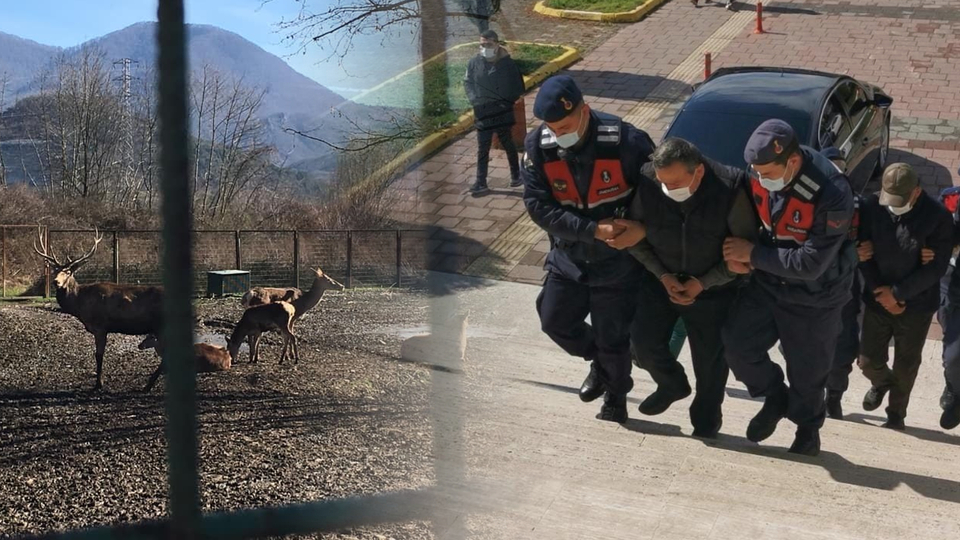 Hayvanat bahçesindeki dehşete para cezası