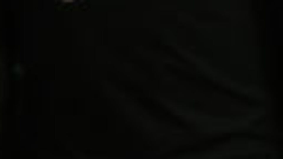 Hollanda polisinden skandal ırkçı ifadeler!