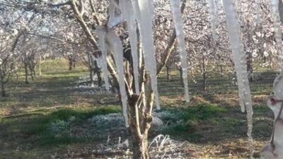 Ankara Valiliği'nden 'zirai don' uyarısı