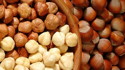 İl il fındık fiyatları listesi