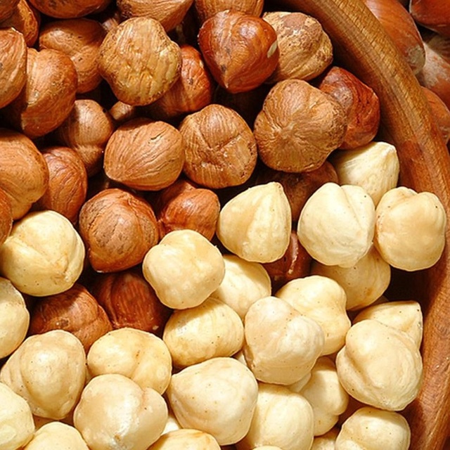 İl il fındık fiyatları listesi