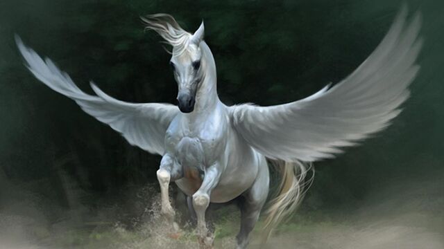 Unicorn ne demek?