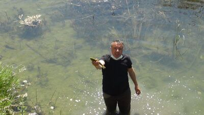 Kanal yüzlercesiyle doldu, mahalleli şaşkın!