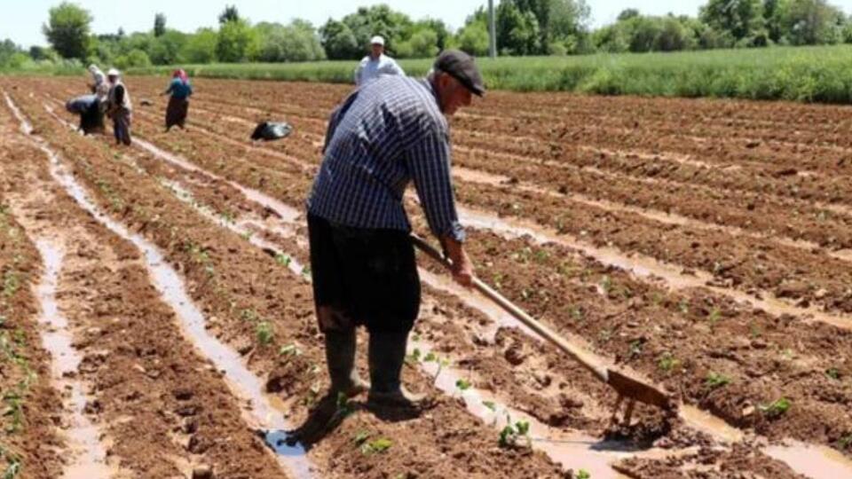 Çiftçi destek ödemeleri hesaplara yattı mı?