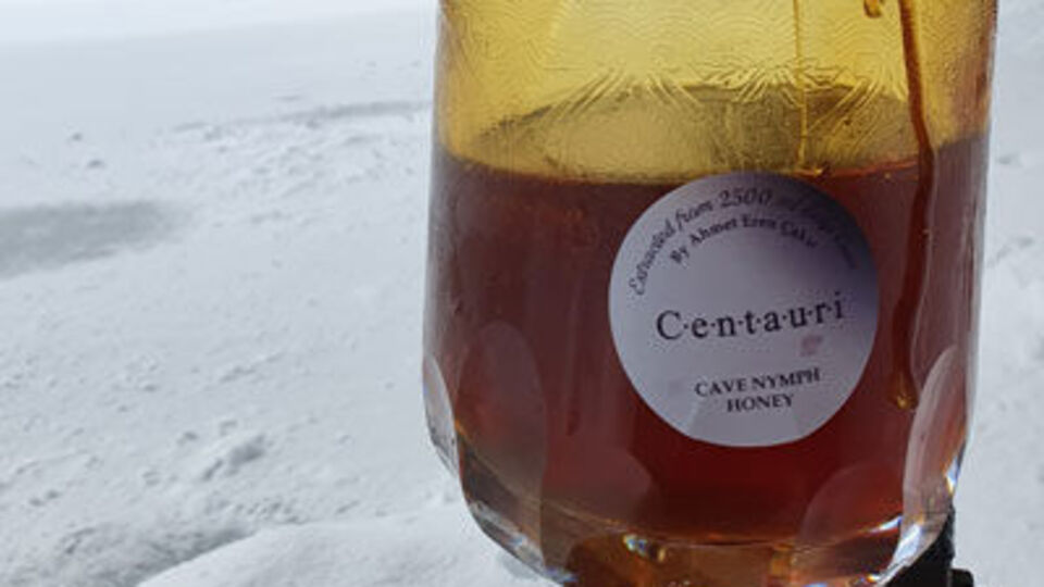 Kilosu 95 bin TL... Türk balı Guinness'e girdi