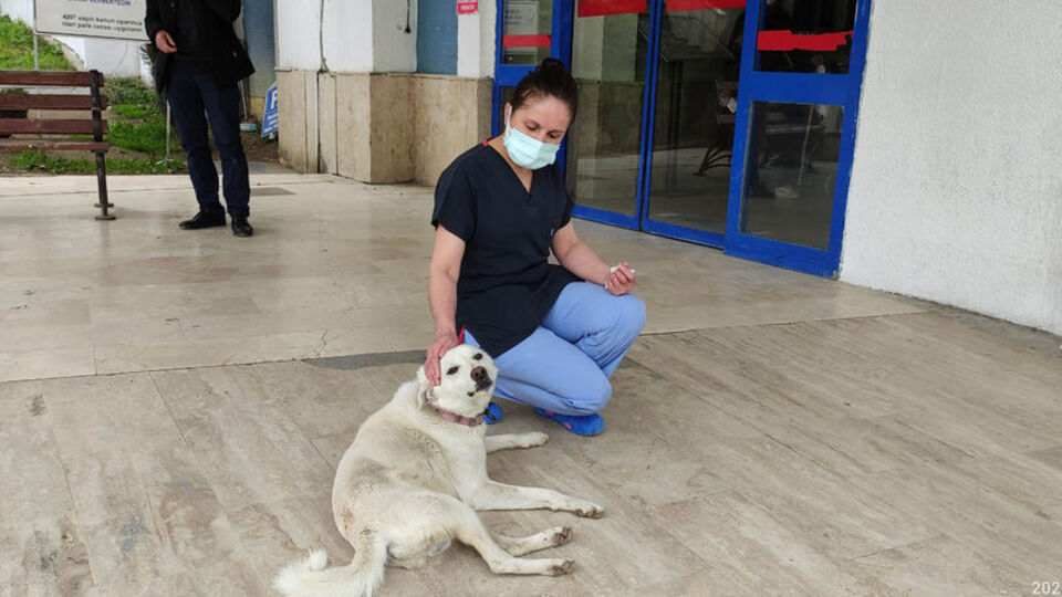 Duygulandıran anlar... 14 gün hastane kapısında bekledi