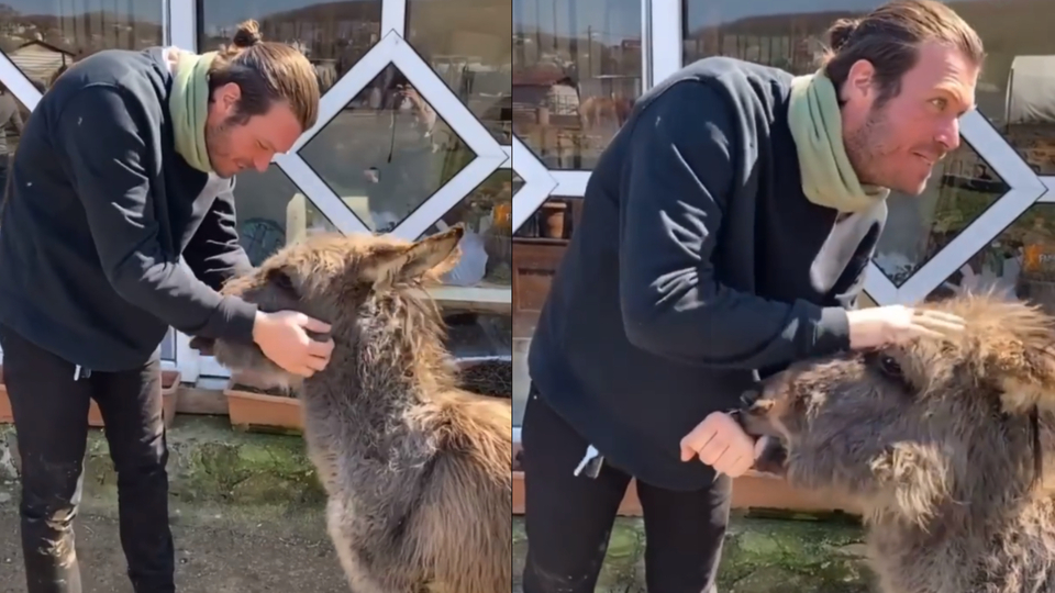 Sıpa Arzu'nun Kıvanç hayranlığı