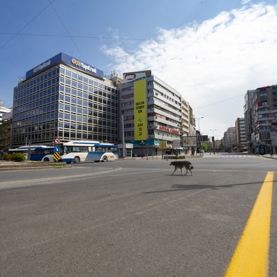 Kırmızılar cumartesi de evde