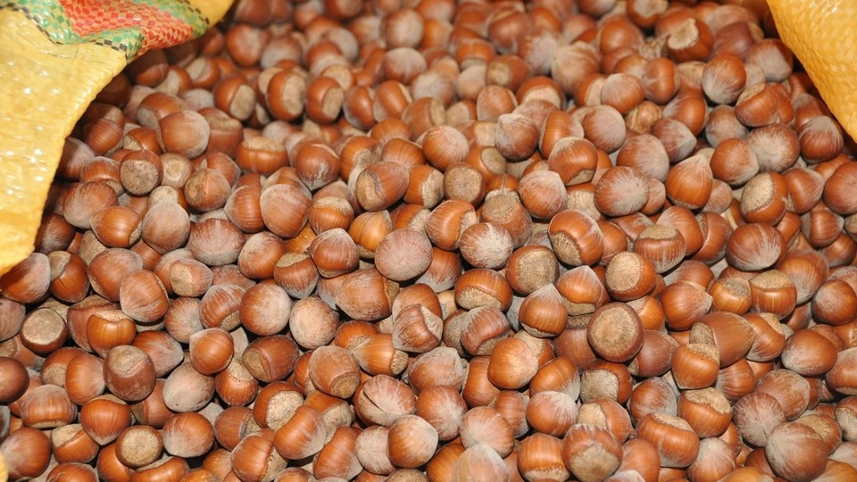 İl il fındık fiyatları listesi