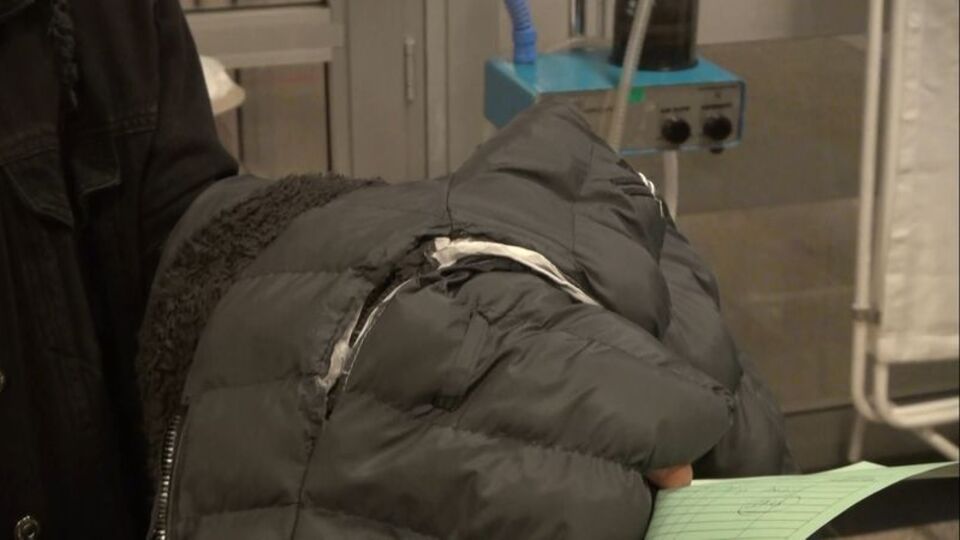 Kırıkkale'de pitbull dehşeti! 8 yaşındaki çocuk yaralandı