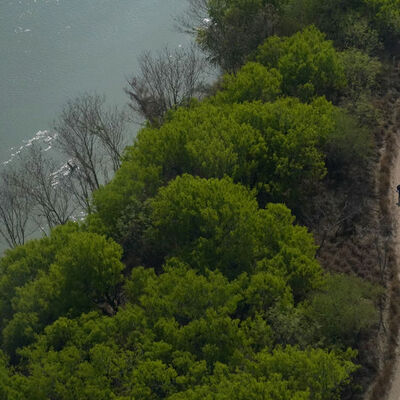 ABD-Meksika sınırında insanlık dramı!