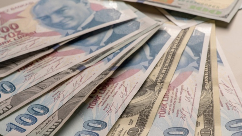 Bankaların döviz mevduatı düştü