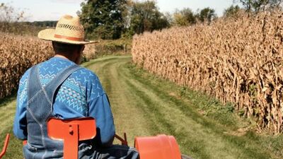 2021 Tarım ve su ürünleri destek ödemeleri bugün yatıyor!