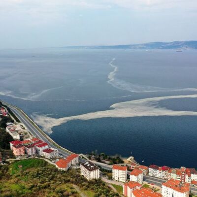 İzmit Körfezinde korkutan görüntünün nedeni belli oldu