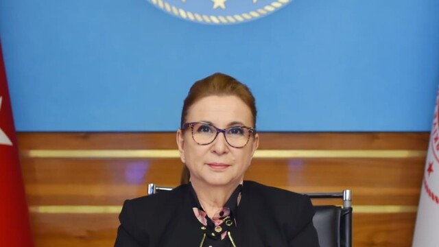 Pekcan'dan D-8 ülkelerine iş birliği çağrısı