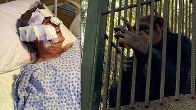 Korku dolu anlar! Bu hale getirdi