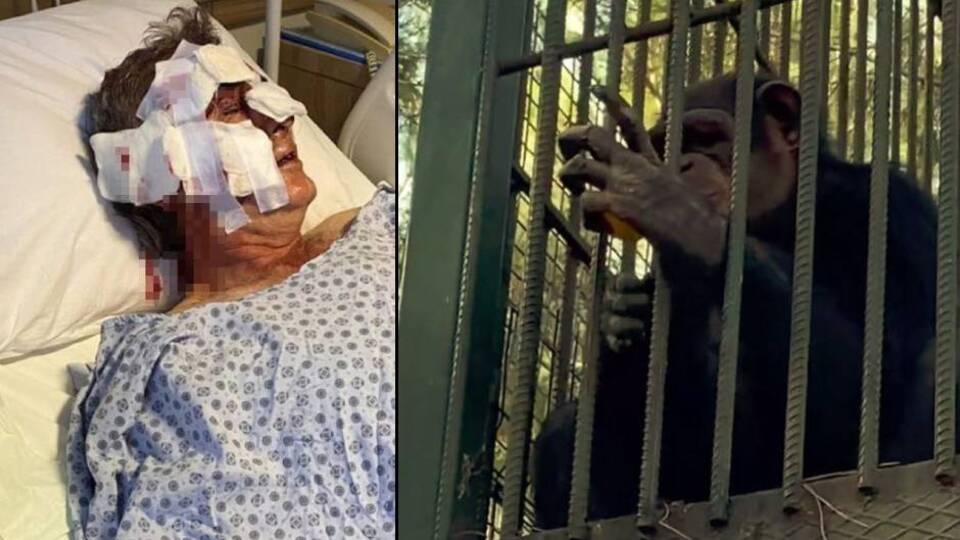 Korku dolu anlar! Bu hale getirdi