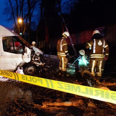 Sürücü yaralı, ağaç devrildi