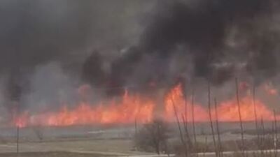Çorum'da kuş cennetinde yangın!