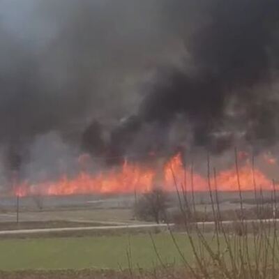 Çorum'da kuş cennetinde yangın!