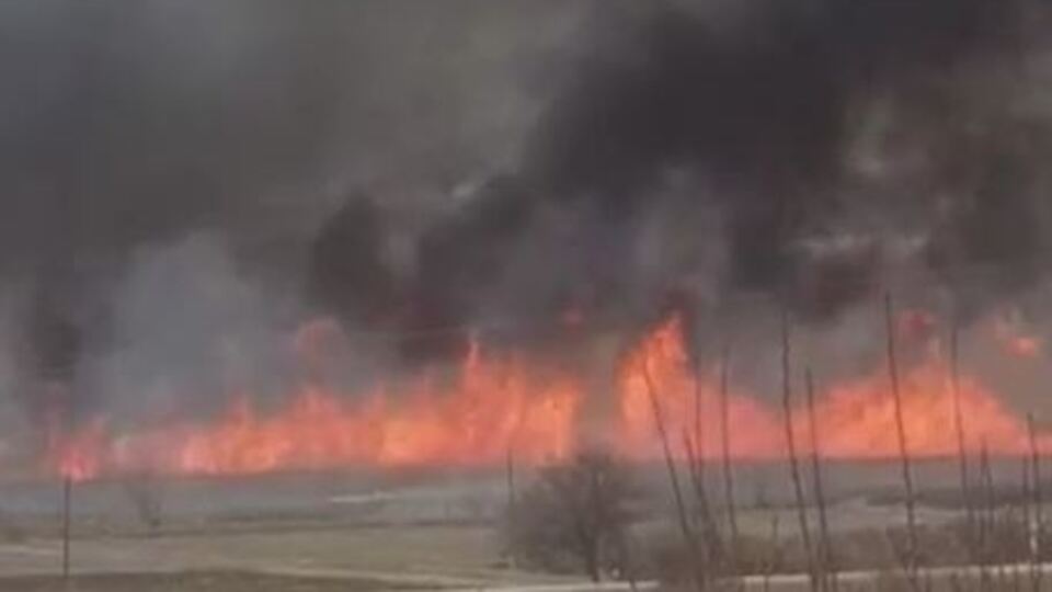 Çorum'da kuş cennetinde yangın!