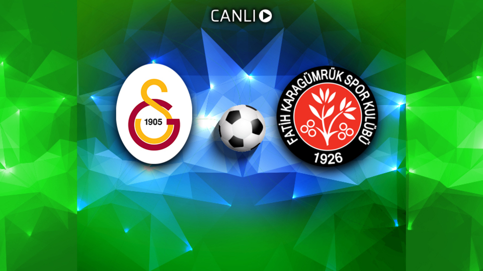 Aslan, Gümrük'e takıldı