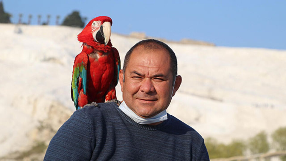 Papağanı, can dostu oldu