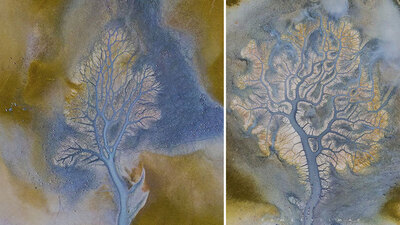 Hayrete düşüren görüntü! Drone ile görüntülendi