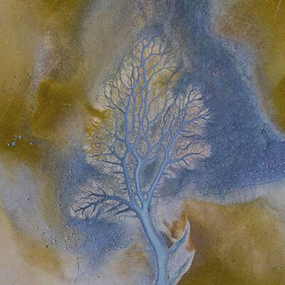 Hayrete düşüren görüntü! Drone ile görüntülendi