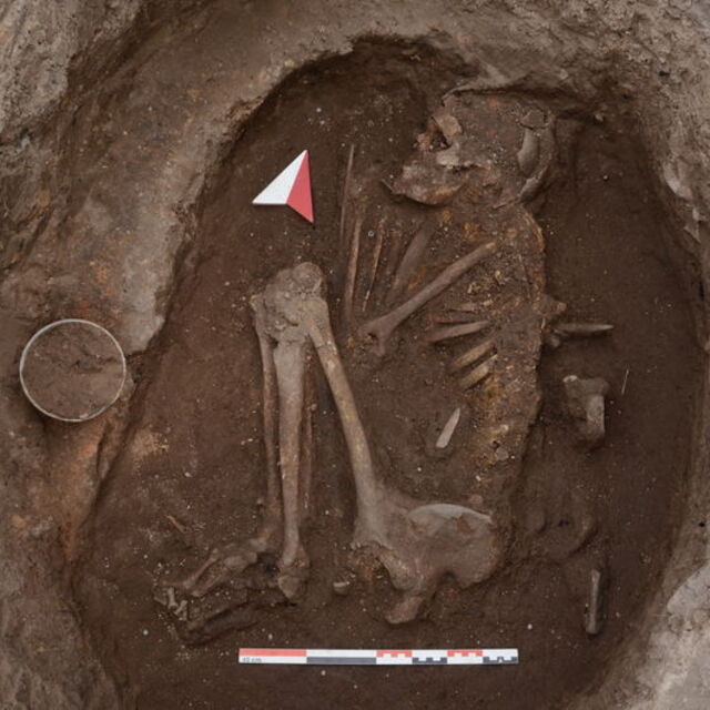 DNA analizleri 10 bin yıl önceki topluluklara ışık tuttu