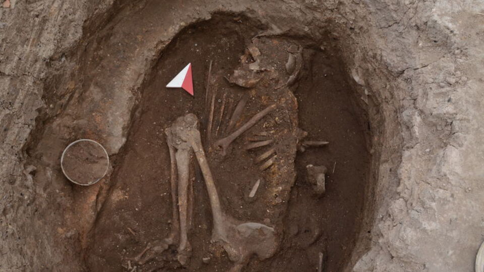 DNA analizleri 10 bin yıl önceki topluluklara ışık tuttu